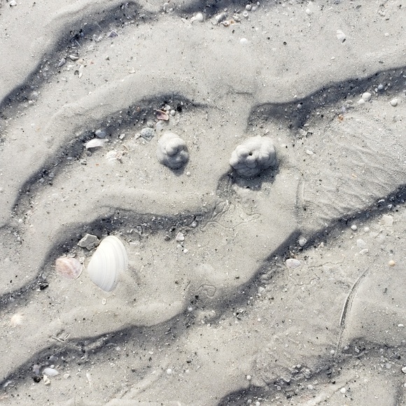 Meet your Posher, Anne - Picture 5 of 5